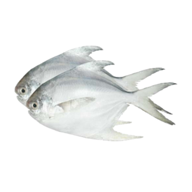 Zero to hundred sub category image