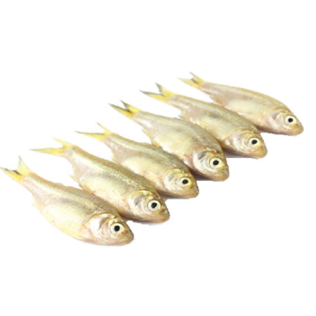 Zero to hundred sub category image